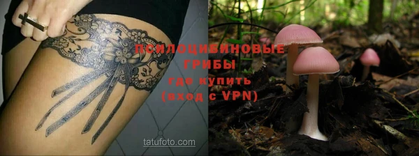 прущие крисы Абдулино