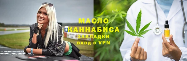 хмурый Алексин
