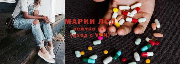 трава Абаза