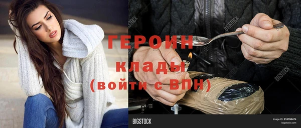 хмурый Алексин