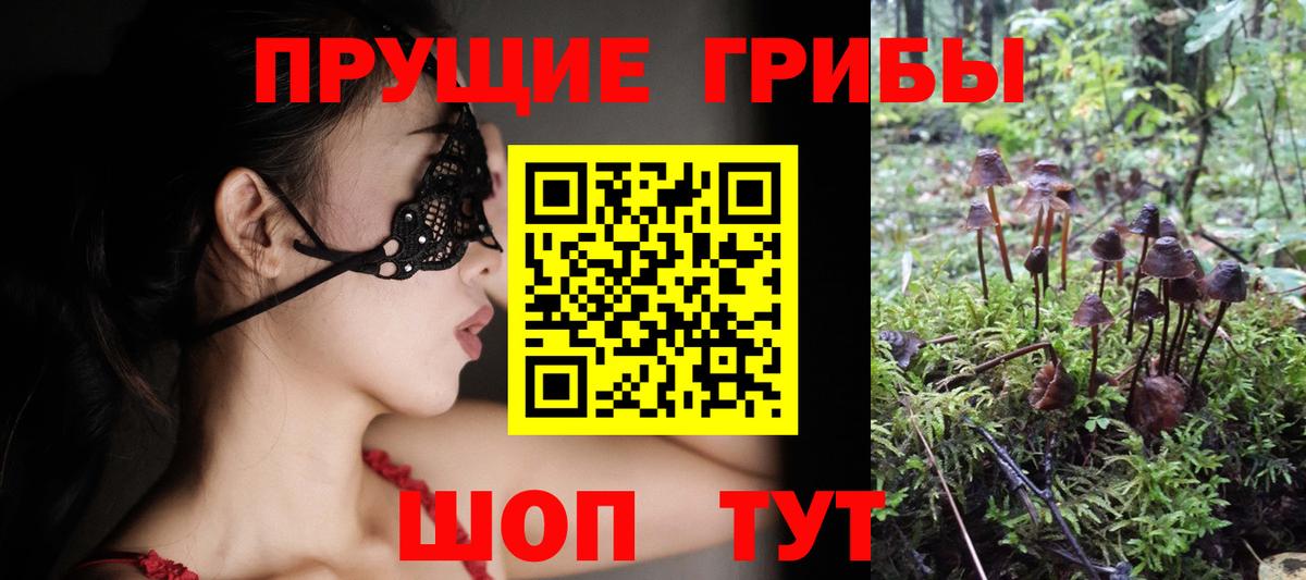 Нальчик  Галлюциногенные грибы ЛСД  Вход с VPN 