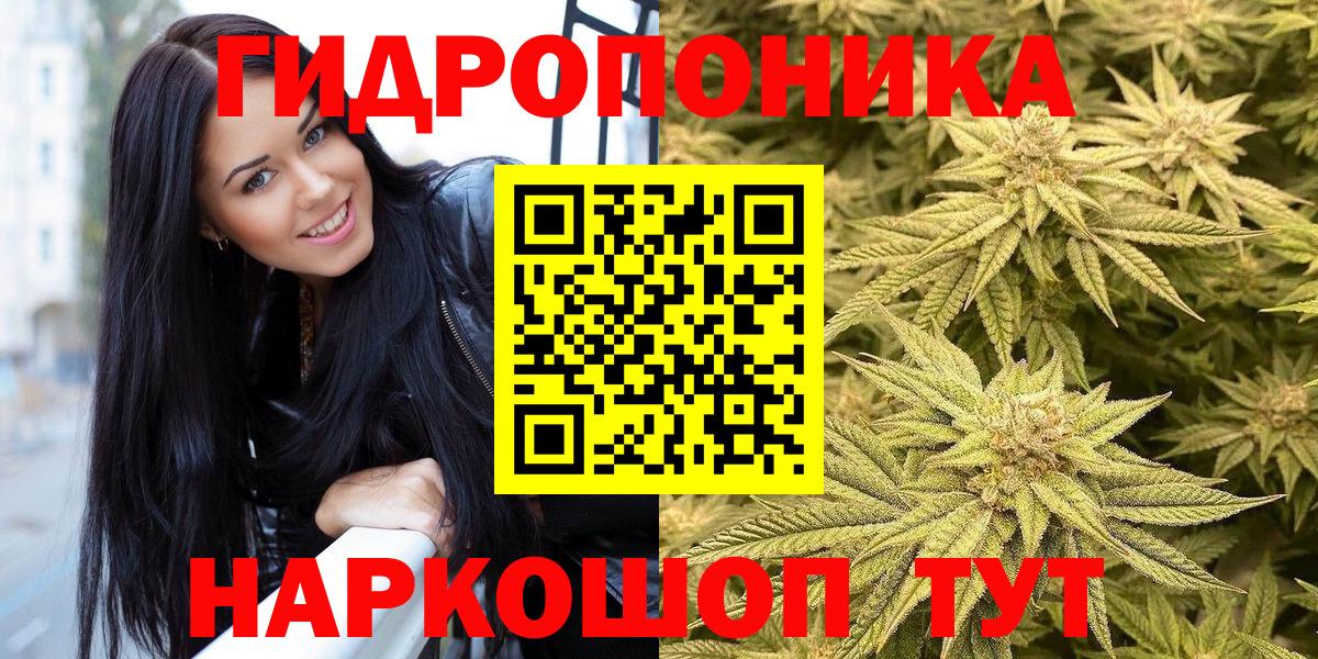 Бошки Шишки OG Kush Нальчик